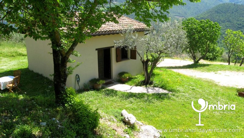 Spoleto Pool Cottages : Fig Tree