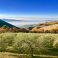 immediate countryside, surrounding Vista Del Mondo, in winter !