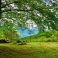 huge private grounds with sensational views all round