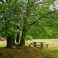 huge private grounds with sensational views all round