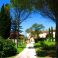 Driveway to estate