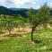 private land, all yours, for as far as the eye can see !