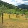 private land, all yours, for as far as the eye can see !