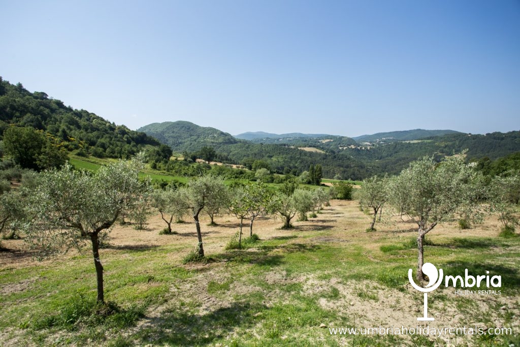 private land, all yours, for as far as the eye can see !