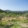 private land, all yours, for as far as the eye can see !