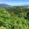 magnificent scenery all around