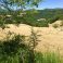 magnificent countryside all around