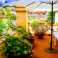 terrace - seats up to 8 persons